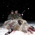 exchange hunt with  Lionel Berhault z LeChaseur Mauricius, wild boar male  200 kg 