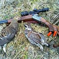 Grouse hunting in the late October morning (23.10.2014)