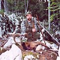 Mouflon from 2005th.