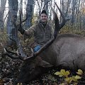 Elk 2013