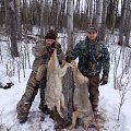 Coyote Hunting January 2014