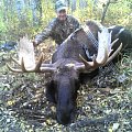 Archery Moose August 2014