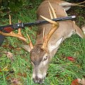 A whitetail buck taken with a muzzleloader on our property in the Ozark mountains