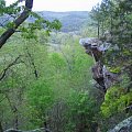 Where we turkey hunt in the Ozark mountains.....