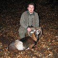 my first mouflon