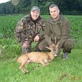 Roe Buck Denmark