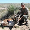 West Texas Pronghorn Antelope