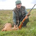 siberian roe buck