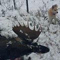 Moosehunt with My brother