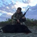 Pig from my hunt in Texas