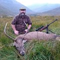 Stag on the Scottish hill 