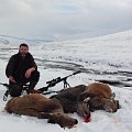 Reds in the snow