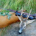 Roe deer -silver medal