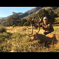 A nice red stag shot in April 