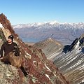 Mid winter tahr