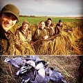 Goose shooting in 2016 Aberdeenshire , scotland