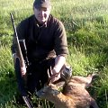 Silver Medal Scottish Roe Buck 