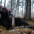 Amur bear hunt