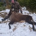 My first thar love to Hunt in Nz