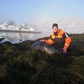 Sealhunt in norway a cuple of weeks ago, beautifull nature and fun hunt