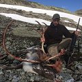 Trophy reindeers and red stag. Atlantic salmon fishing