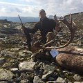 Trophy reindeers and red stag. Atlantic salmon fishing