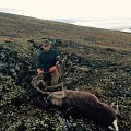 Trophy reindeers and red stag. Atlantic salmon fishing