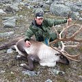 Trophy reindeers and red stag. Atlantic salmon fishing