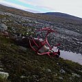 Trophy reindeers and red stag. Atlantic salmon fishing