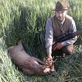 Roe deer hunt in Serbia...