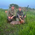 Roe buck for American friend 