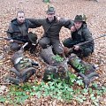 Mouflon and fallow buck hunting in Czech republic