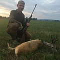 Bronze medal roe buck from Hungary