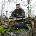 the final achievement of my Finnish trip - my coveted black grouse !!!  I thank my Finnish friends Markus and Mika .... my story of Finnish tour just preparing readers for the site.