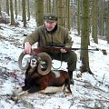 My dad with moufflon in our territory.