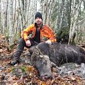 Moosehunting on my hunting area in south of sweden with my boar/moosedog